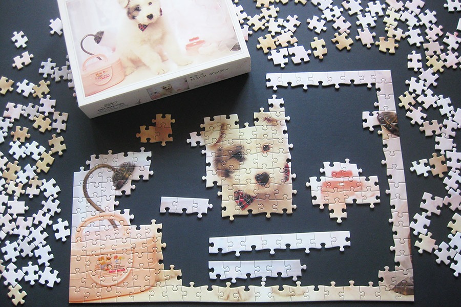 hanayama puzzle_320_dog_900 IMG_7790.jpg