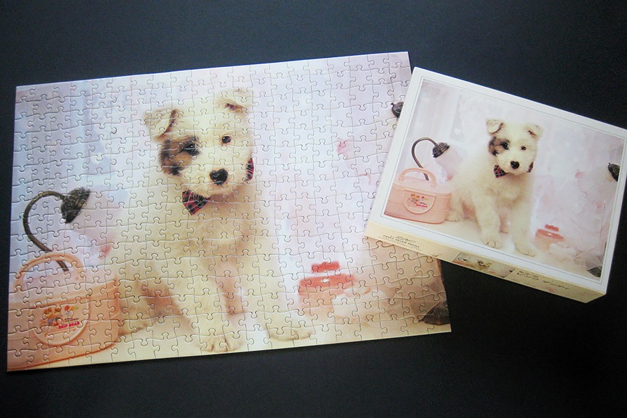 hanayama puzzle_320_dog_900 IMG_7793