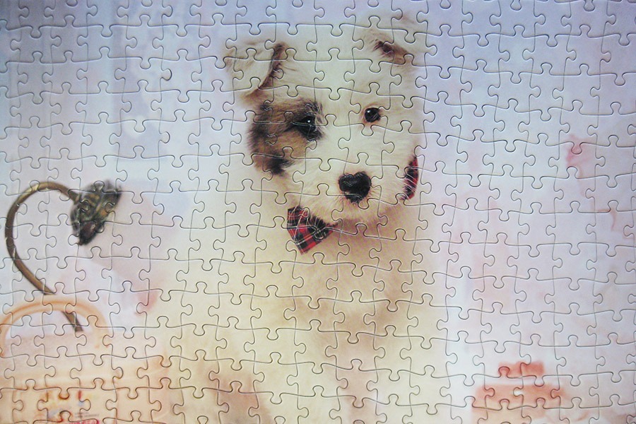 hanayama puzzle_320_dog_900 IMG_7798.jpg