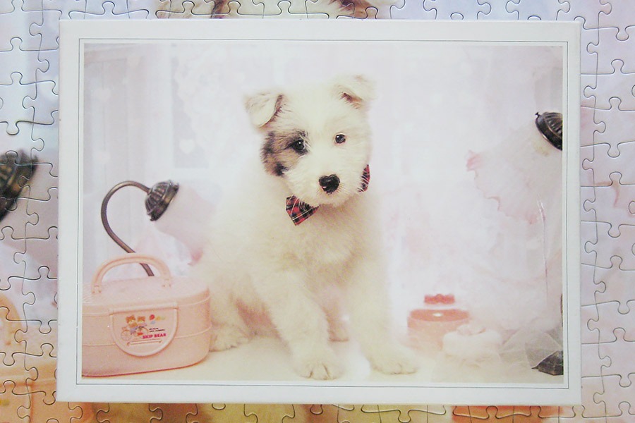 hanayama puzzle_320_dog_900 IMG_7802