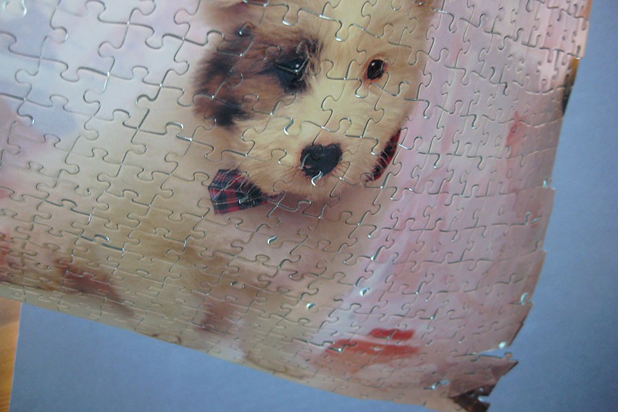 hanayama puzzle_320_dog_900 IMG_7810