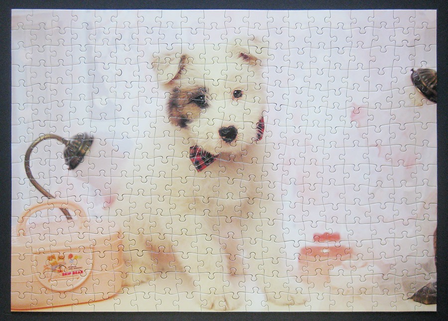 hanayama puzzle_320_dog_900 IMG_7813