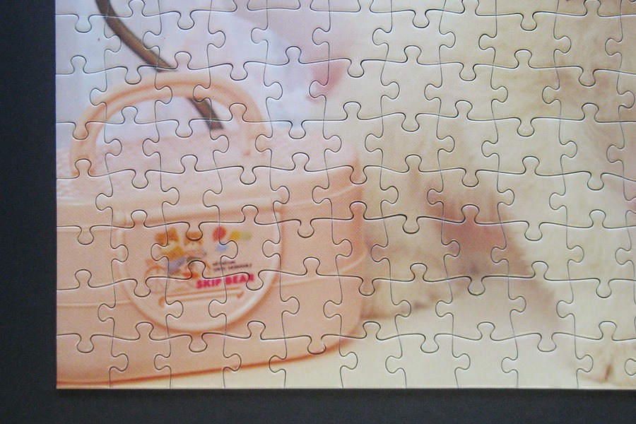 hanayama puzzle_320_dog_900 IMG_7815.jpg