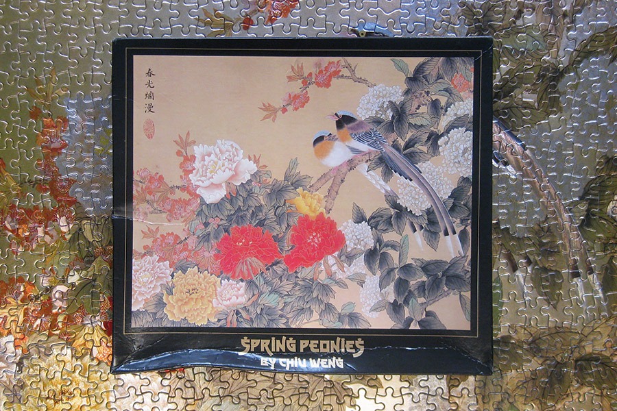 spring peonies_f j warren_900 IMG_8055