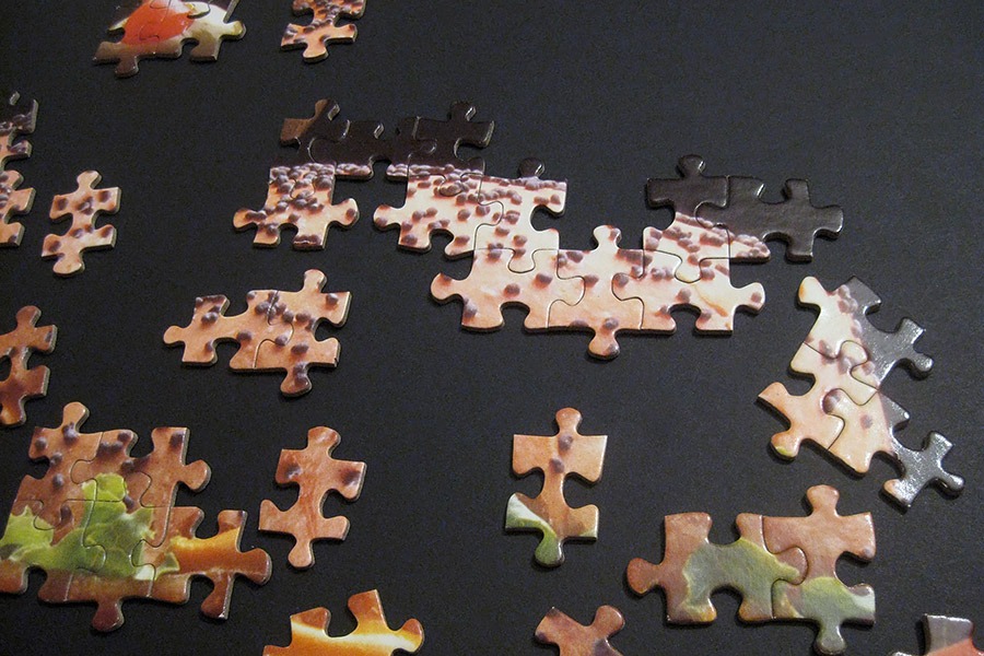 delicious_warren paper puzzle_900 IMG_8365.jpg