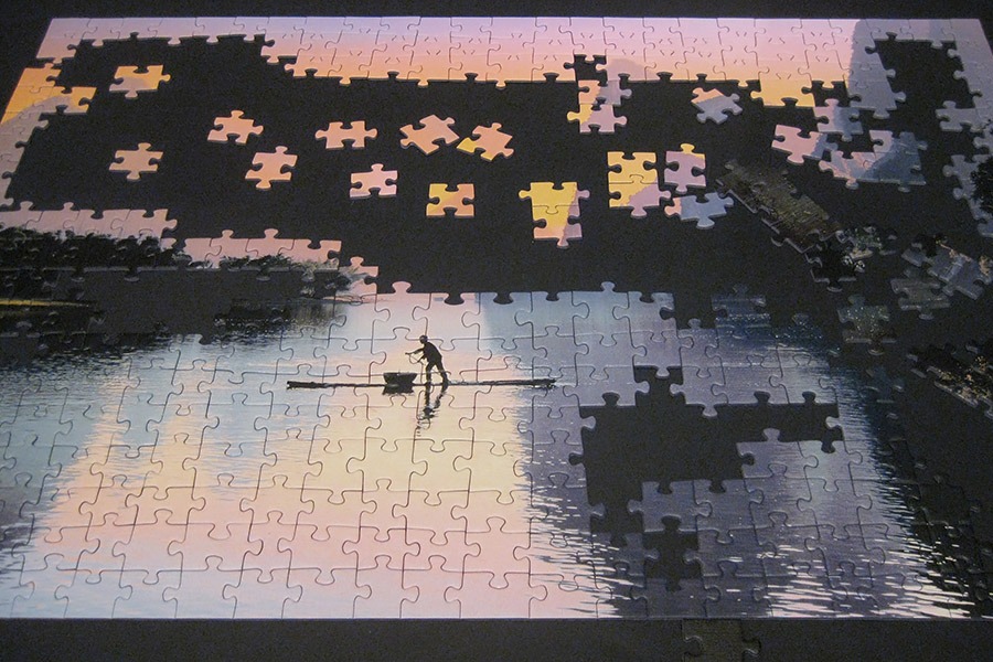 trefl puzzle_900 IMG_8295.jpg