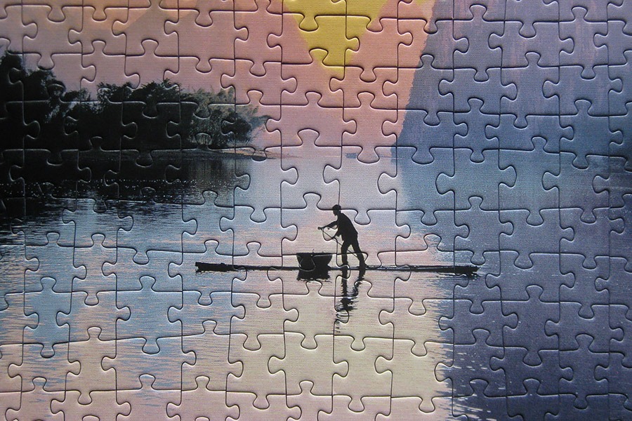 trefl puzzle_900 IMG_8352.jpg
