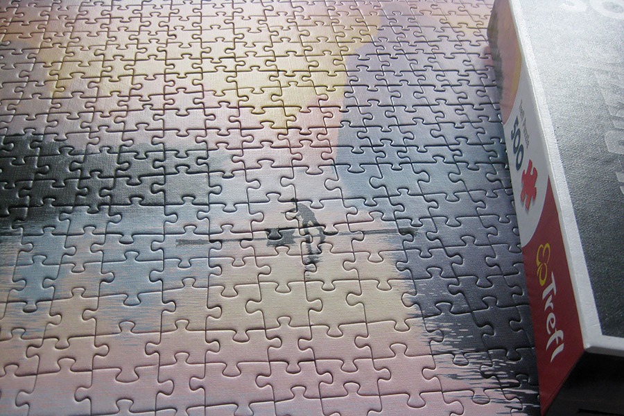 trefl puzzle_900 IMG_8353.jpg