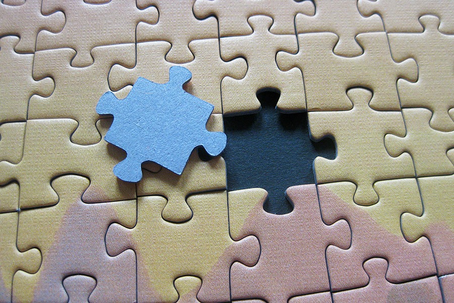 trefl puzzle_900 IMG_8354.jpg