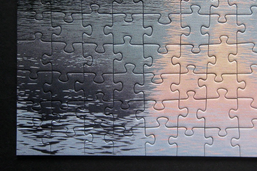 trefl puzzle_900 IMG_8357.jpg