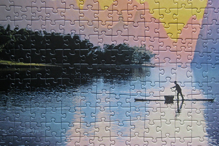 trefl puzzle_900 IMG_8359.jpg