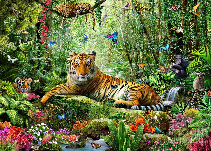 chesterman_tiger in the jungle