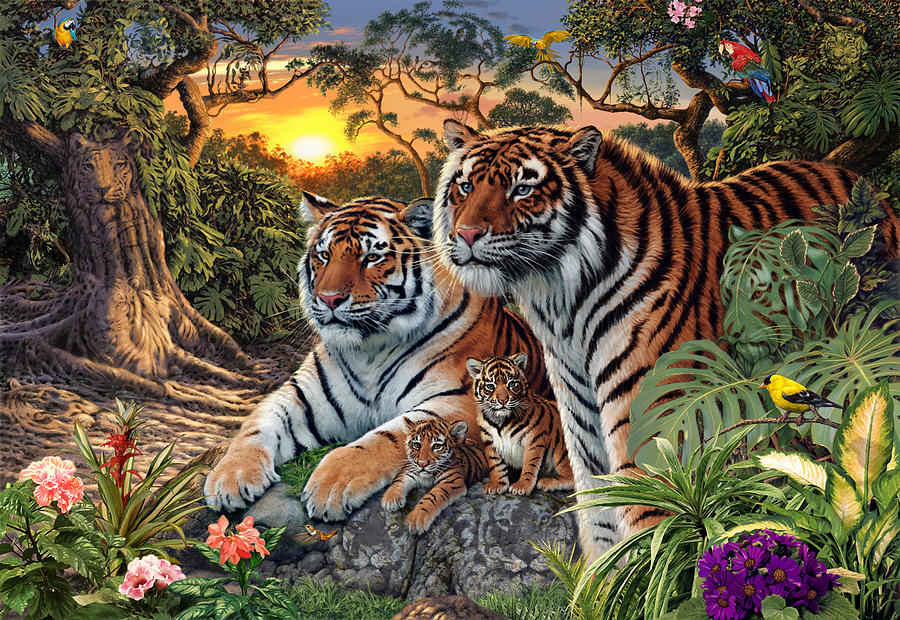hidden-images-tigers-steve-read