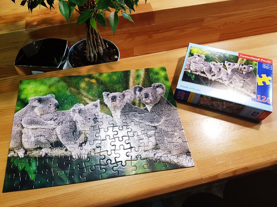 openairpuzzle_koalas_2