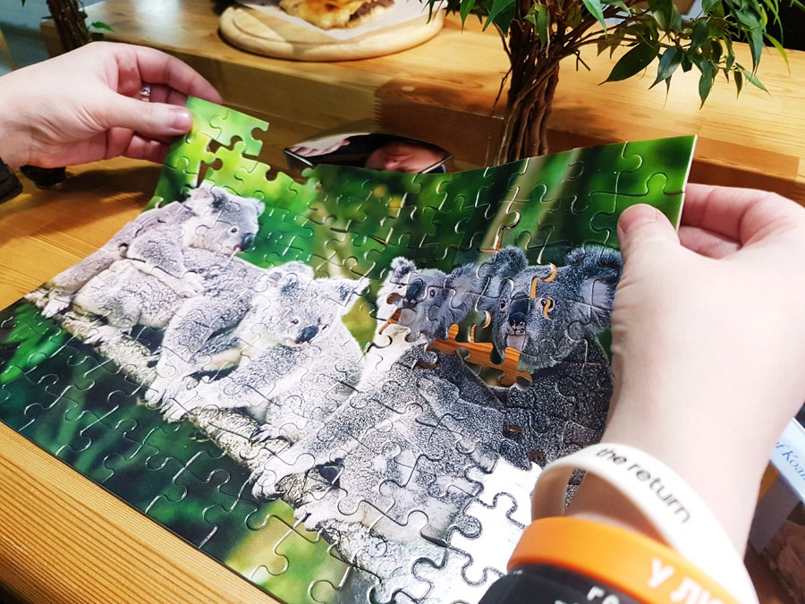 openairpuzzle_koalas_3