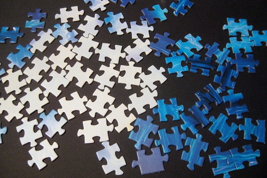 step puzzle_dolphin mermaid_900 IMG_8605