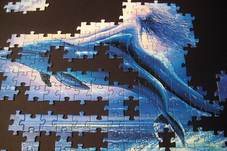step puzzle_dolphin mermaid_900 IMG_8606