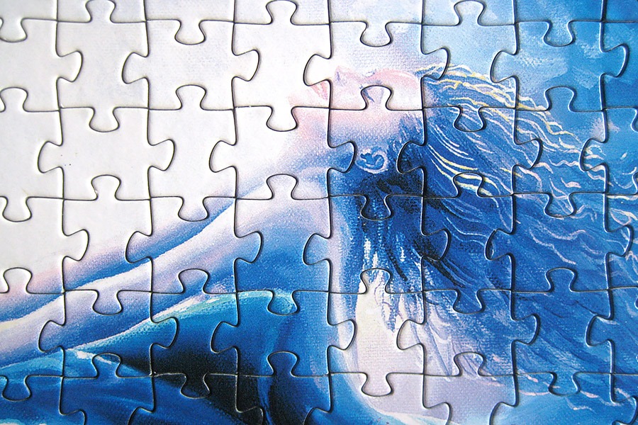 step puzzle_dolphin mermaid_900 IMG_8682
