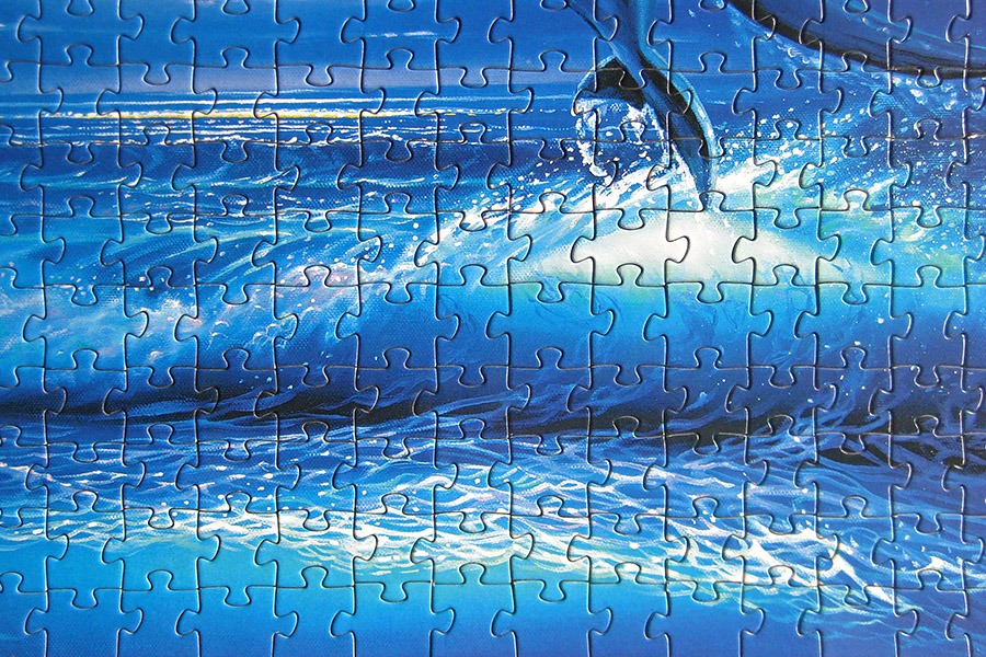 step puzzle_dolphin mermaid_900 IMG_8683