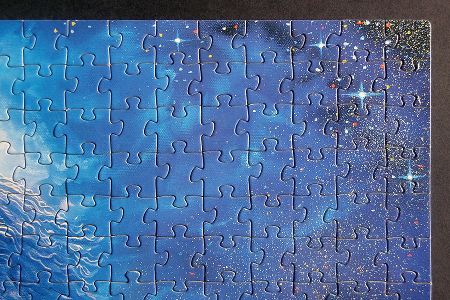 step puzzle_dolphin mermaid_900 IMG_8684