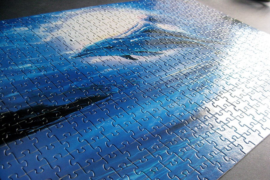 step puzzle_dolphin mermaid_900 IMG_8686