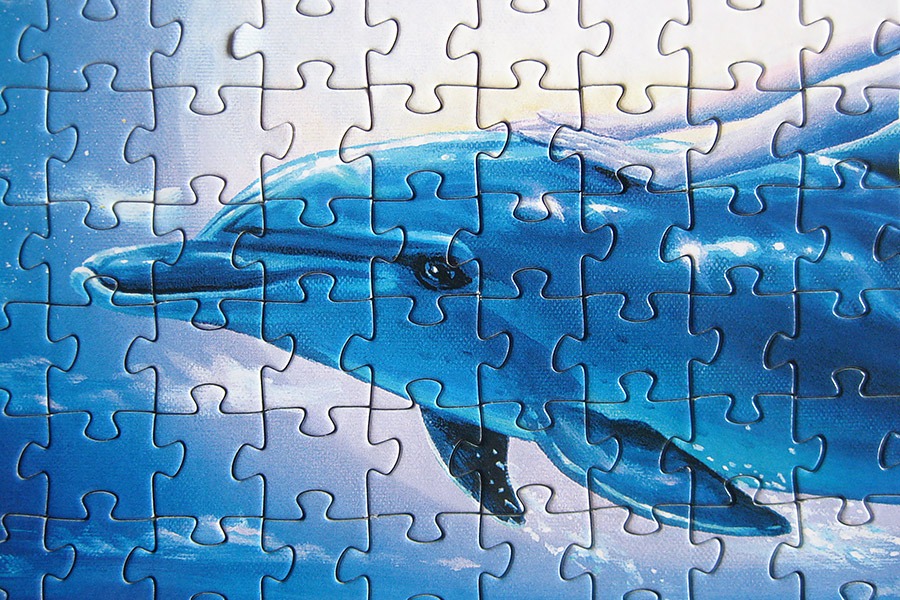 step puzzle_dolphin mermaid_900 IMG_8688