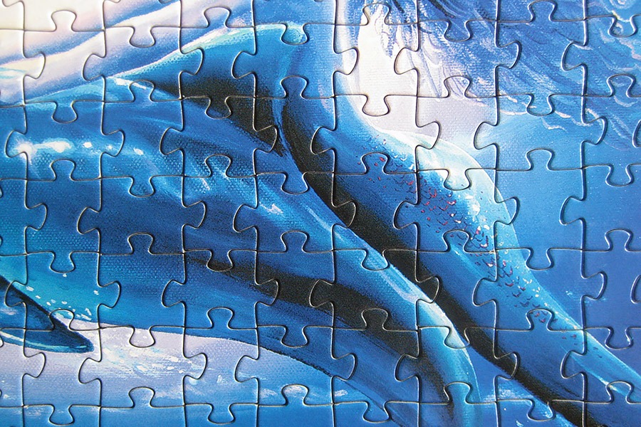 step puzzle_dolphin mermaid_900 IMG_8690