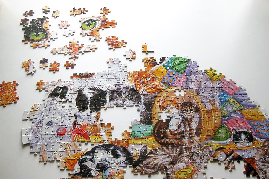 step puzzle_figure cat_IMG_8907