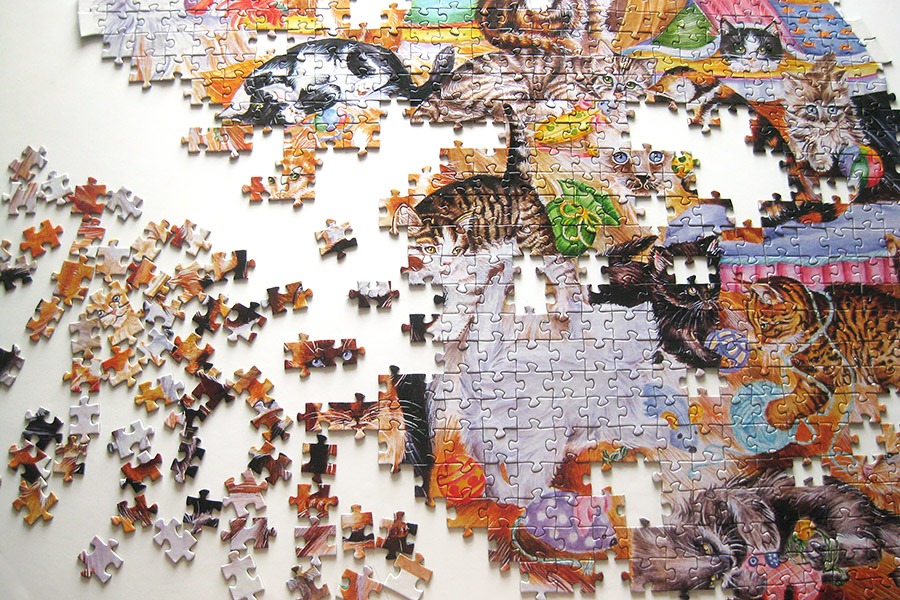 step puzzle_figure cat_IMG_8908