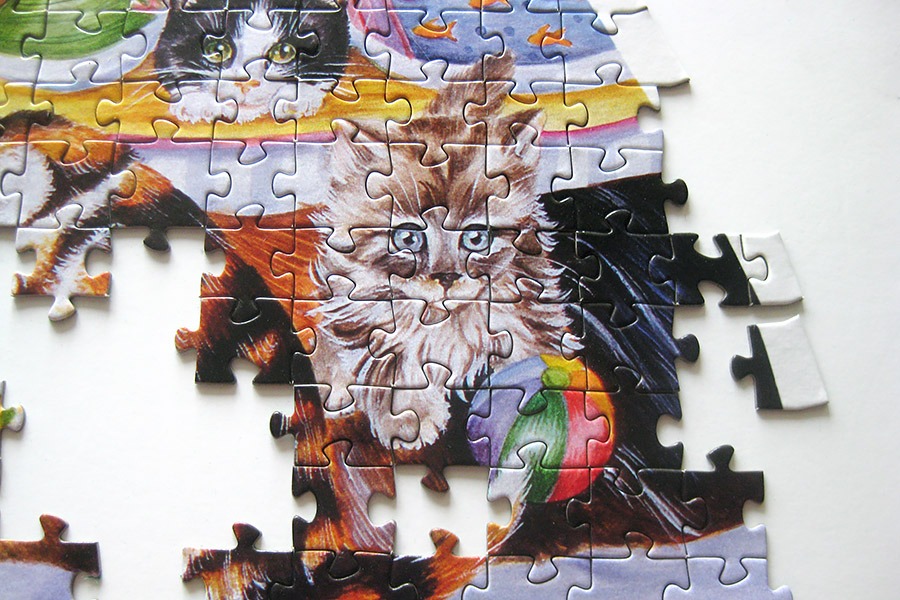 step puzzle_figure cat_IMG_8911