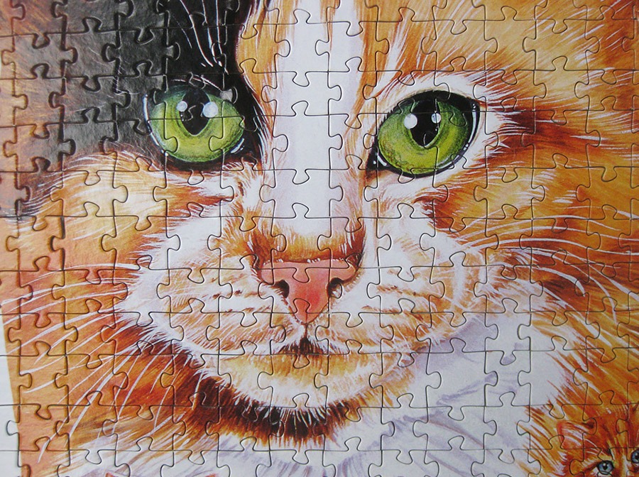 step puzzle_figure cat_IMG_8928