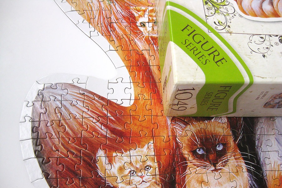 step puzzle_figure cat_IMG_8943