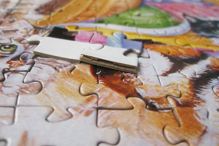 step puzzle_figure cat_IMG_8946