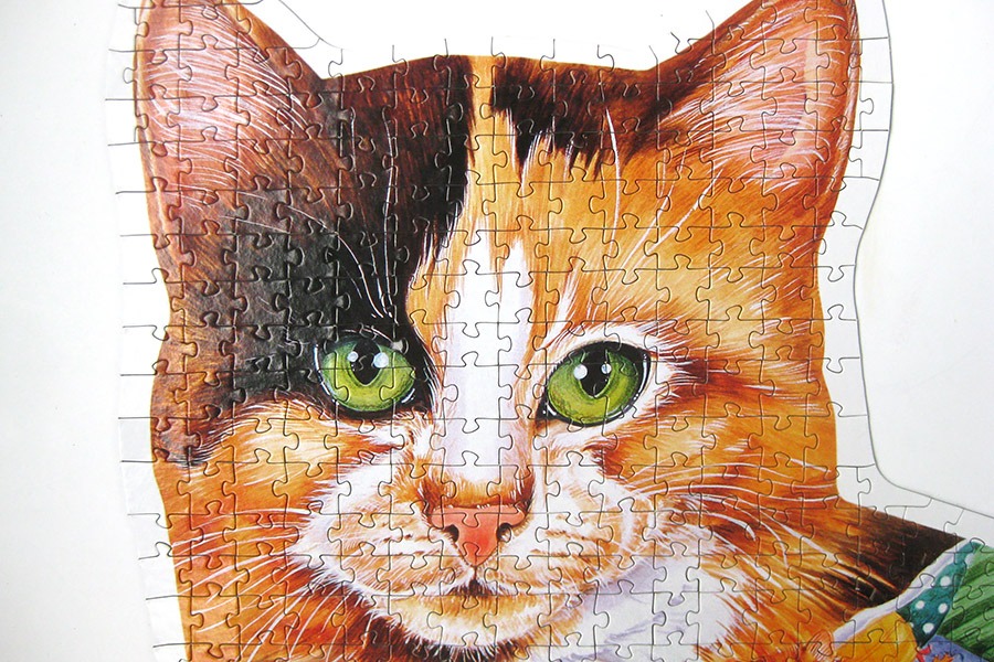 step puzzle_figure cat_IMG_8948