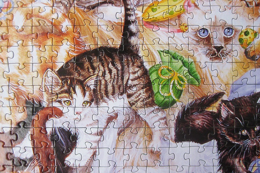 step puzzle_figure cat_IMG_8949