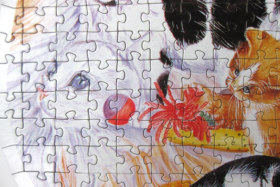 step puzzle_figure cat_IMG_8954