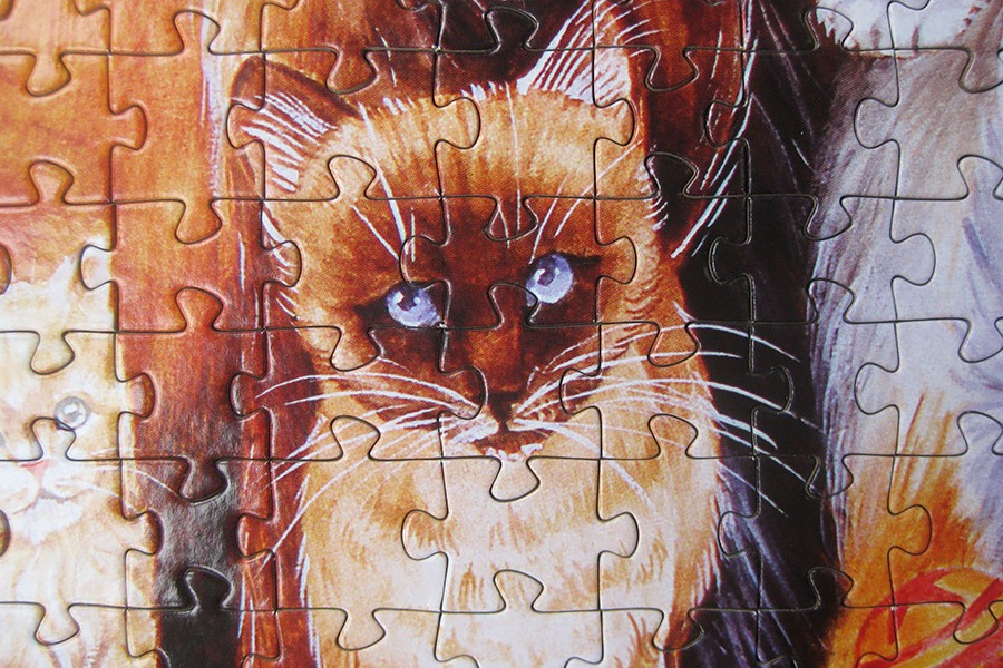 step puzzle_figure cat_IMG_8959