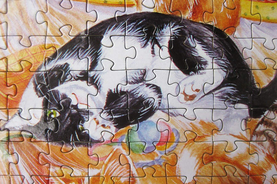 step puzzle_figure cat_IMG_8962