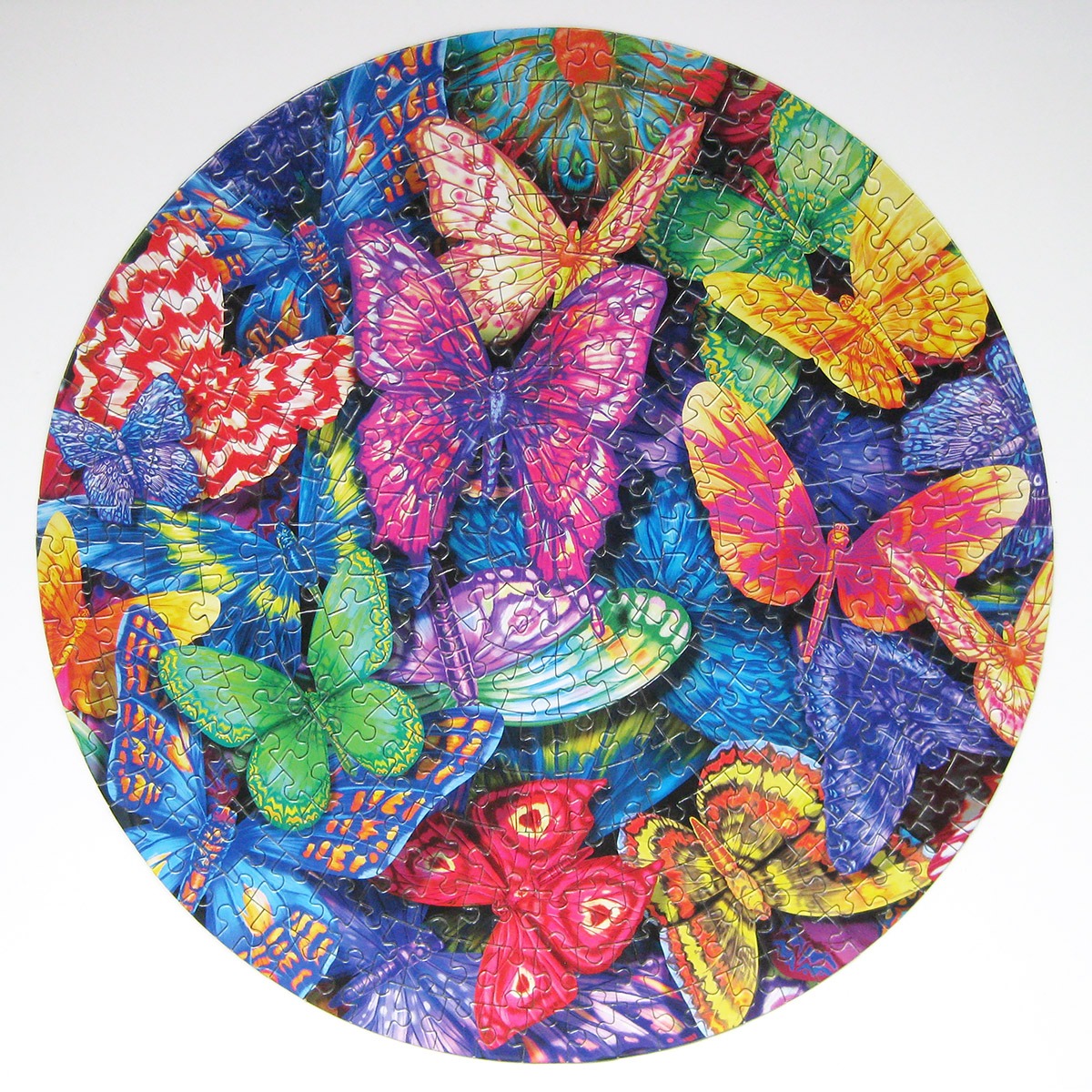 lpf_colorful butterflies_900 IMG_9535