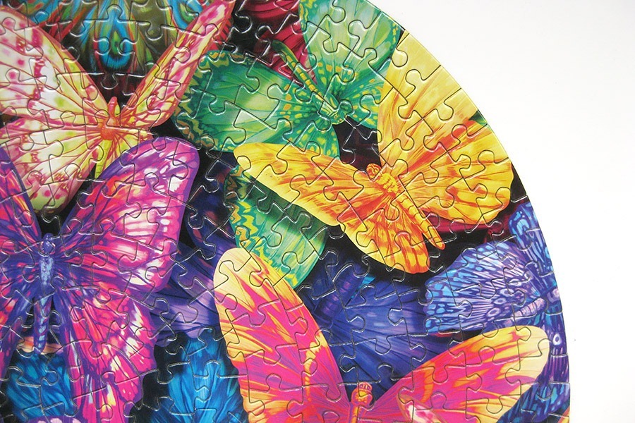 lpf_colorful butterflies_900 IMG_9540