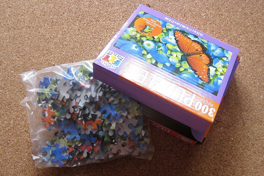 perfect puzzle_butterfly_IMG_9336