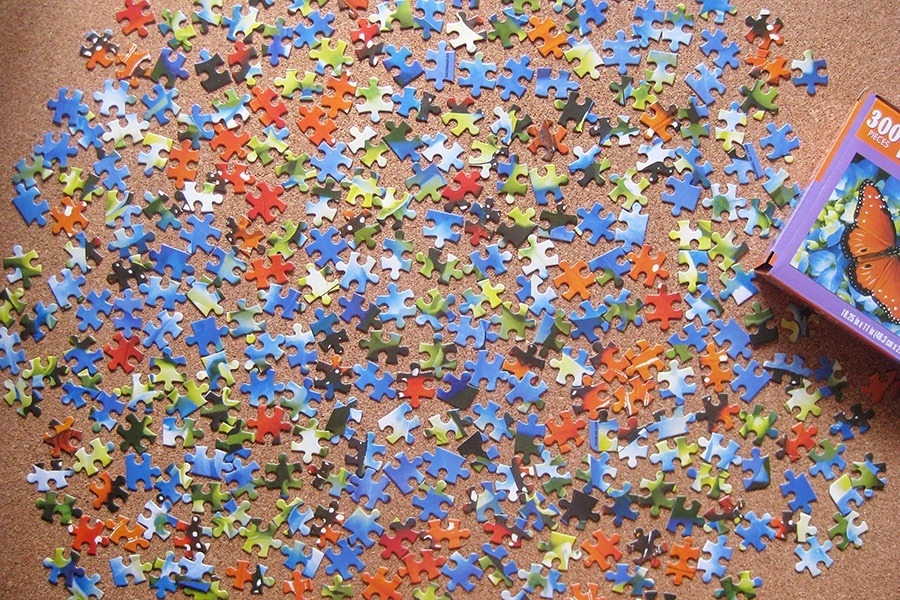 perfect puzzle_butterfly_IMG_9337