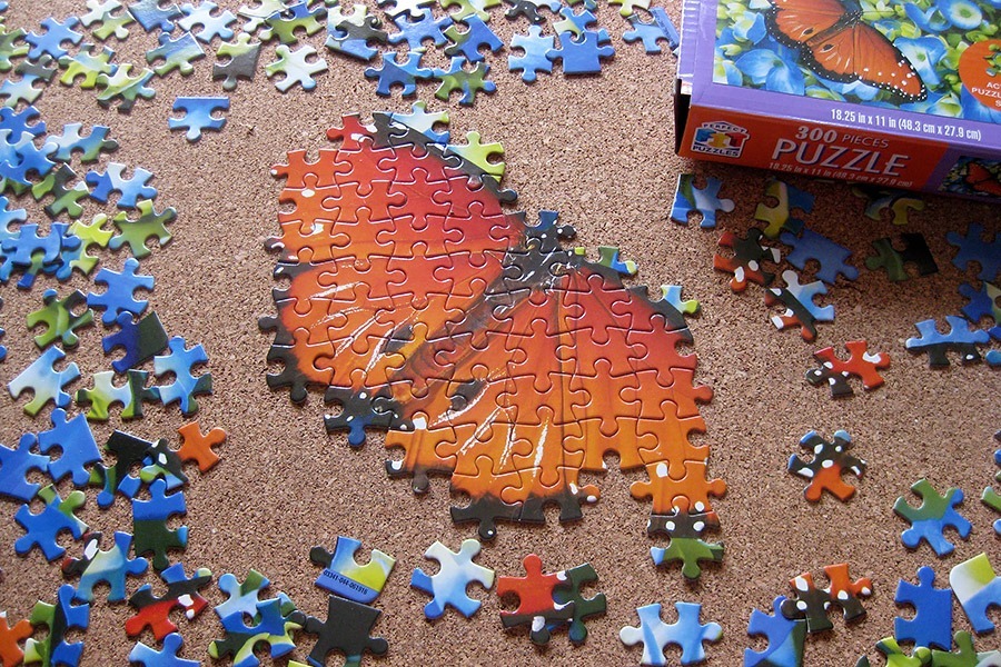 perfect puzzle_butterfly_IMG_9338