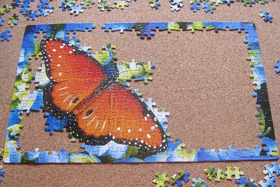 perfect puzzle_butterfly_IMG_9339