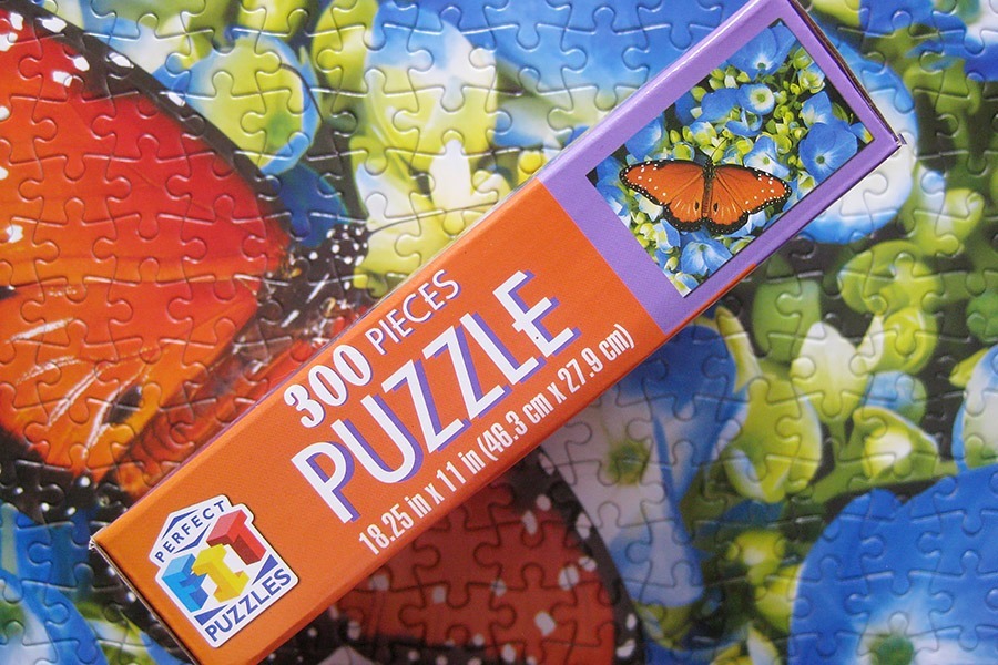 perfect puzzle_butterfly_IMG_9346