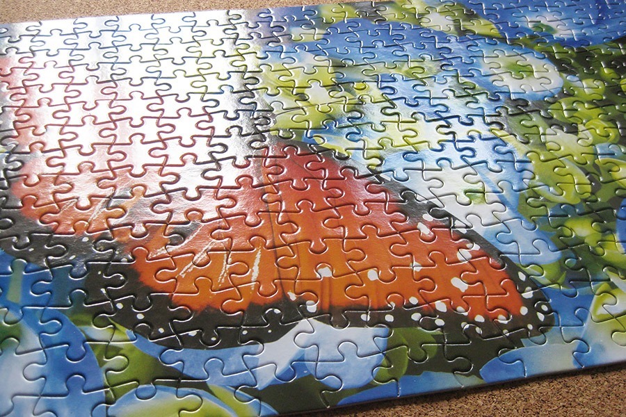 perfect puzzle_butterfly_IMG_9351