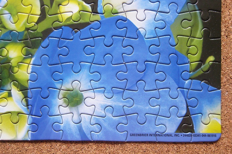 perfect puzzle_butterfly_IMG_9355