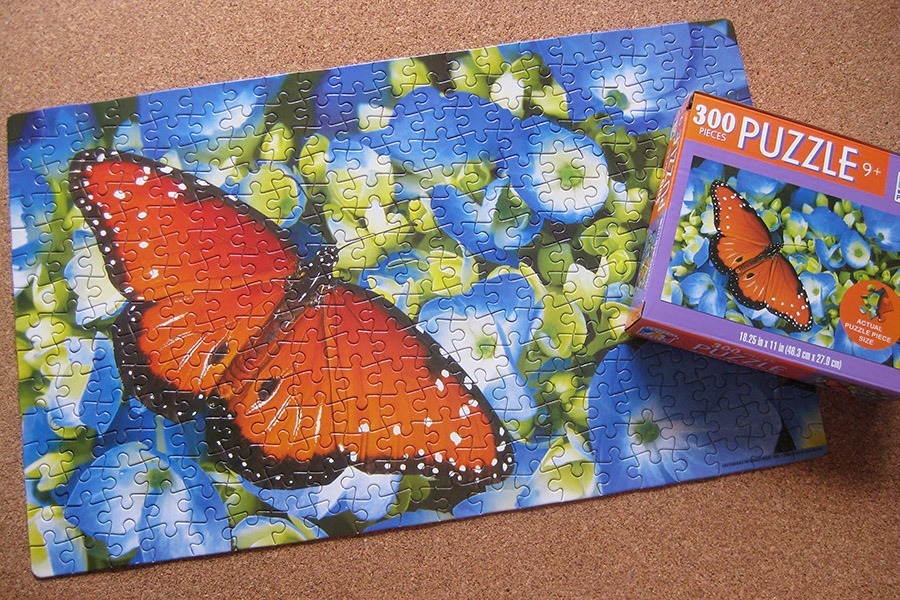 perfect puzzle_butterfly_IMG_9356