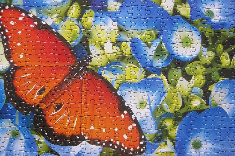 perfect puzzle_butterfly_IMG_9357