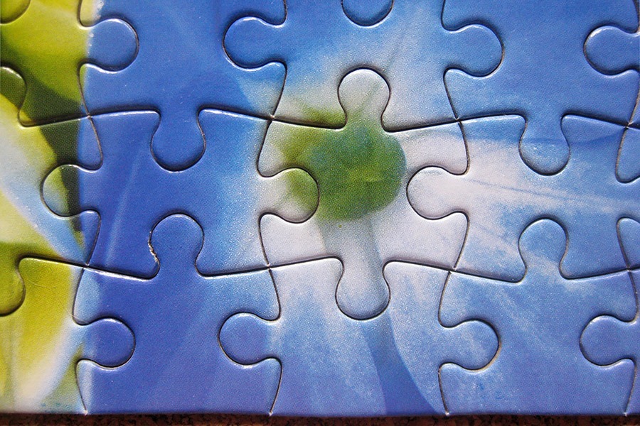 perfect puzzle_butterfly_IMG_9358